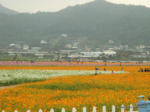 DSCN1390.jpg